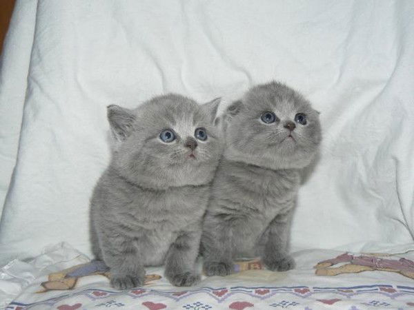 Жанна Гайсина