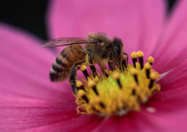 Евгений Бурдуков