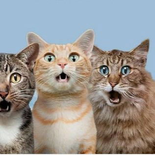 Валерий Пищулин