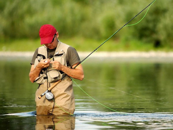 Александр Докучаев