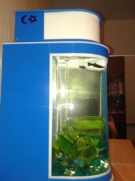 Айгуль Мурзатаева