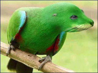 Надежда Рожнова