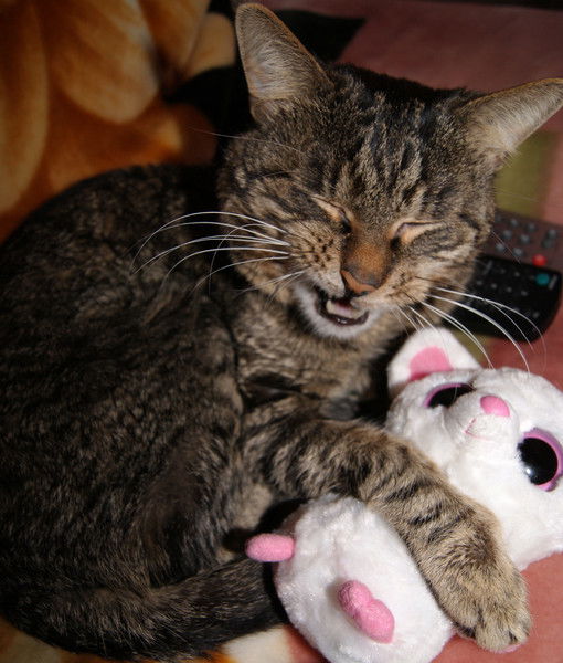 Елена Федосеева