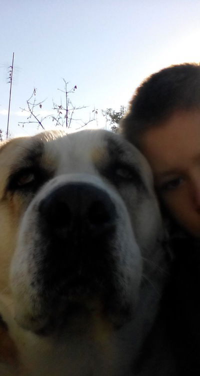 Влад Тишкин