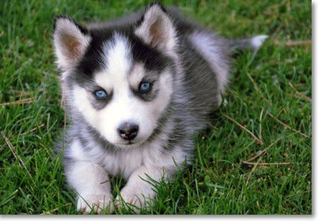 Гульнара Туякпаева