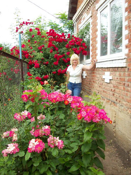 Любовь Селютина