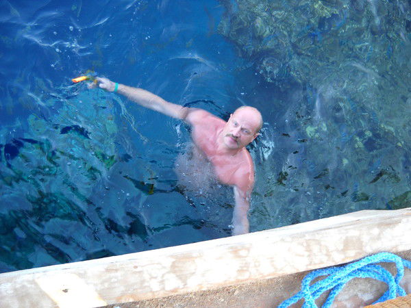 Виктор Метелёв