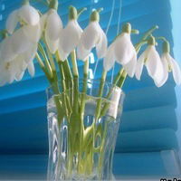 Жанара Конакбаева