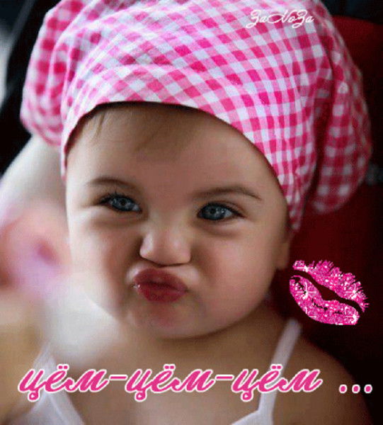 Ден Каримов