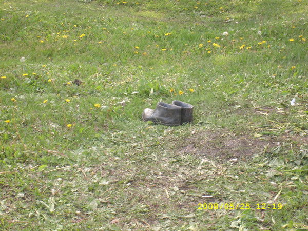 Александр Корнеев