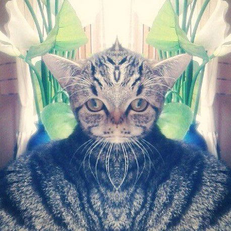 Павел Афанасьев