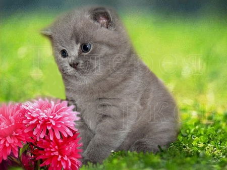 Ольга Батурина