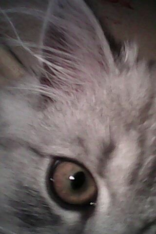 Светлана Фисько