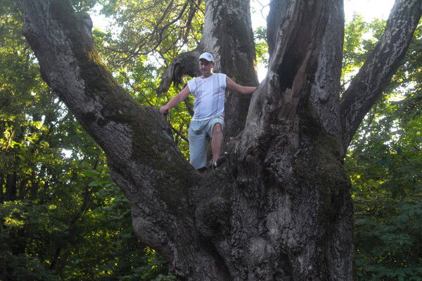 Алексей Лаштарев