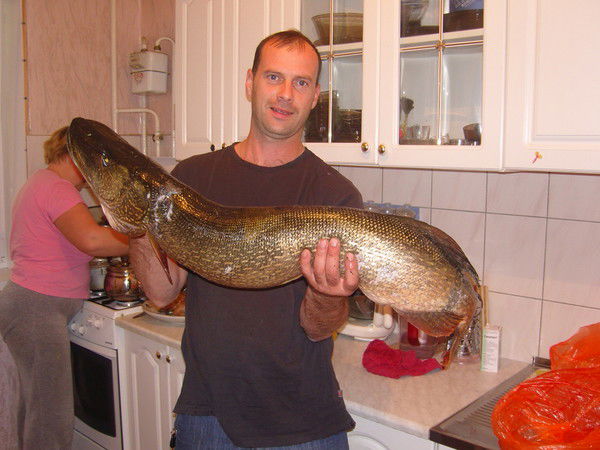 Сергей Леухин