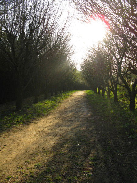 Константин Дмитриевич