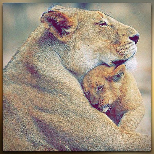 Олеся Крутова