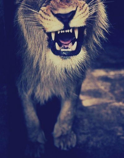 Георгий Михайлов