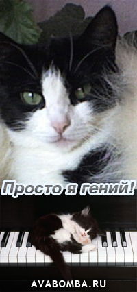 Неизвестно Неизвестно