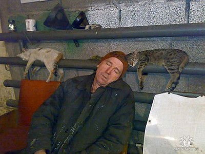 Андрей Коновальцев