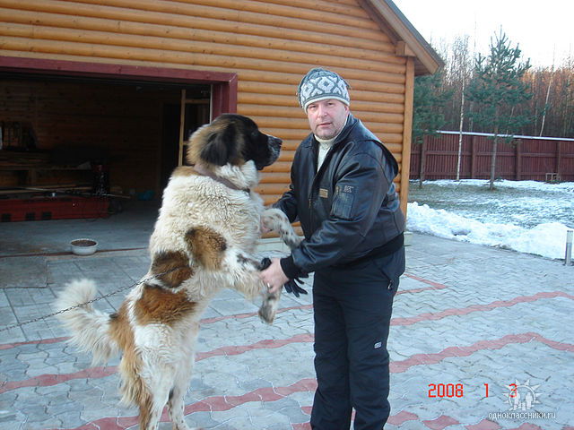 Алексей Илькаев