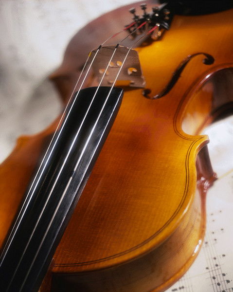 Алёша Перевозчиков