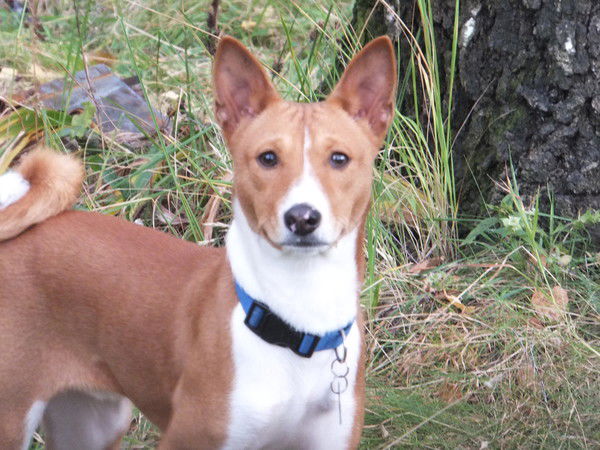 Виктория Ларина