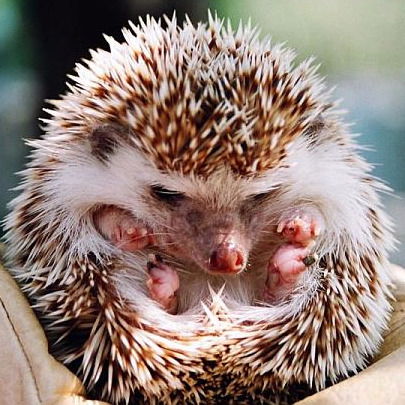 Ирина Комбарова