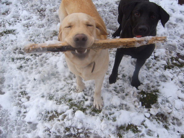 Илья Баранов