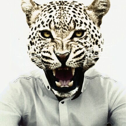 Хулигган Достойный