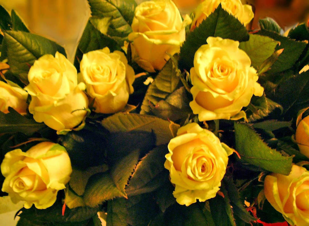 Татьяна Резванова