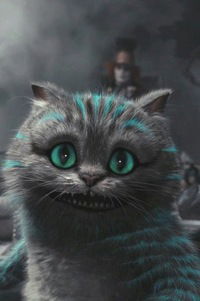 Света Чайка