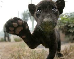 Денис Матвиенко