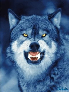 Станислав Попов