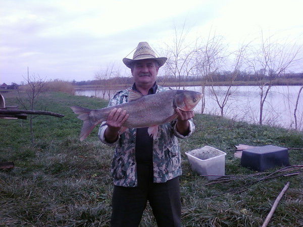 Петр Криворучко