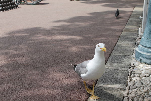 Дмитрий Кузин