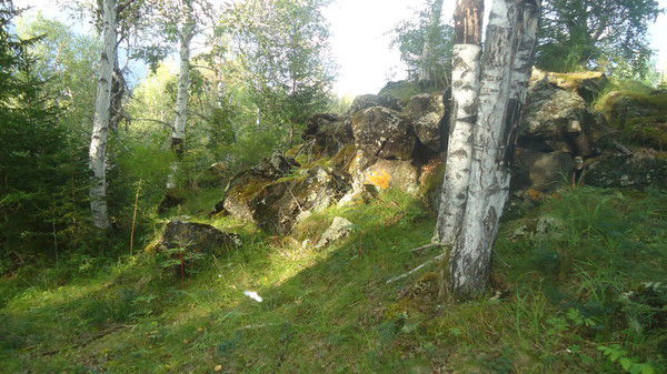 Анна Семенкова