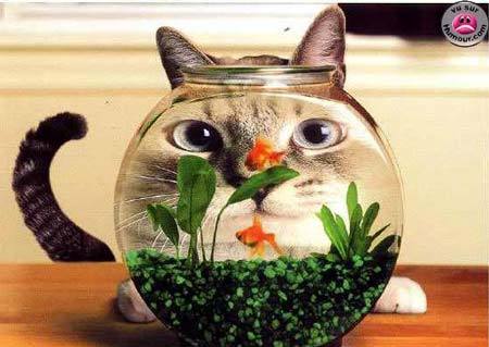 Сергей Дрозд