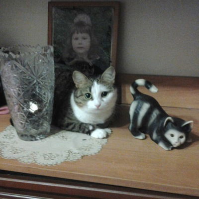 Юлия Александрова