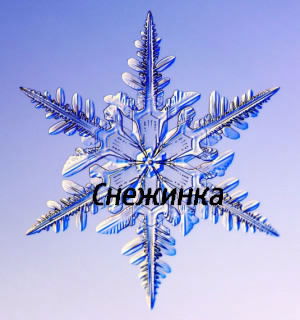 Сауле Набиоллина