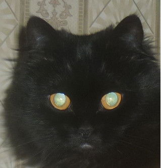 Татьяна Бузинова