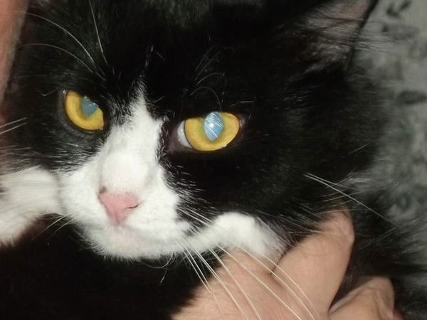 Екатерина Головкина