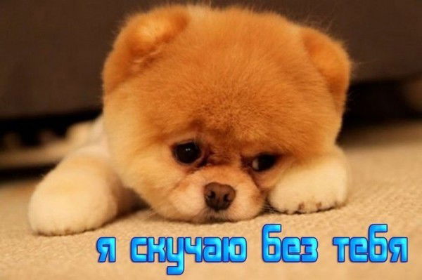 Машенька ___________