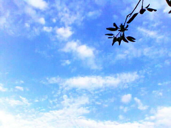 Айдана Сулейменова