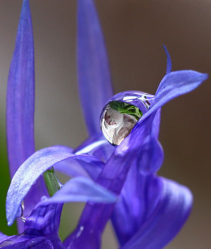 Наташа Кравченко