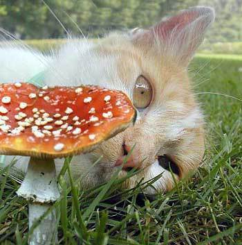 Вы Меня Не Знаете