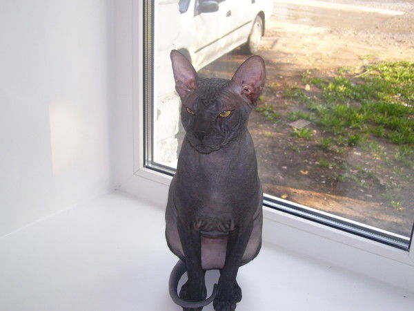 Ольга Ксенофонтова