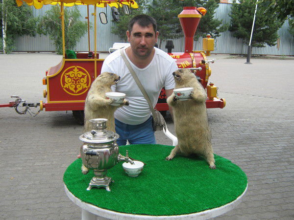 Александр Плужников