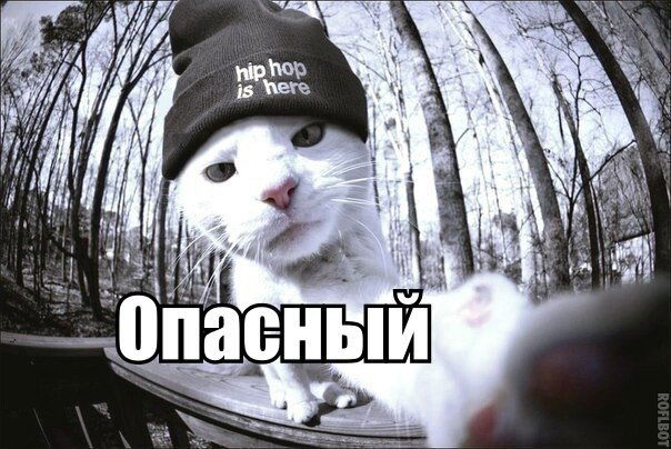 Александр Белов