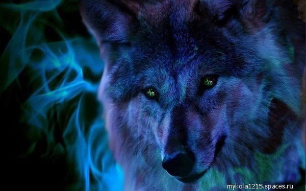 Артем Вознюк